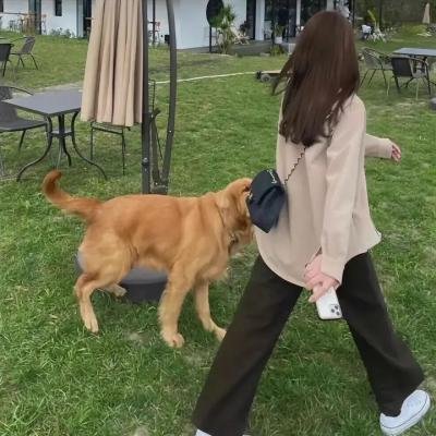 非正式会谈第六季